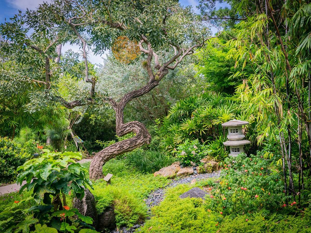 Miami Beach Botanical Garden legpuzzel online