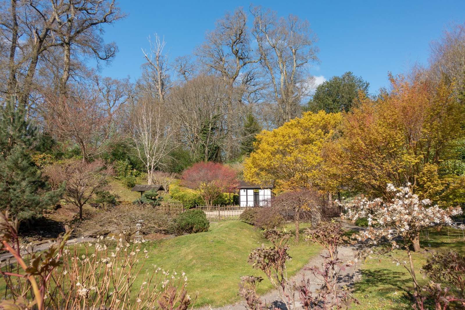 Kingston Lacy Garden Dorset online puzzel
