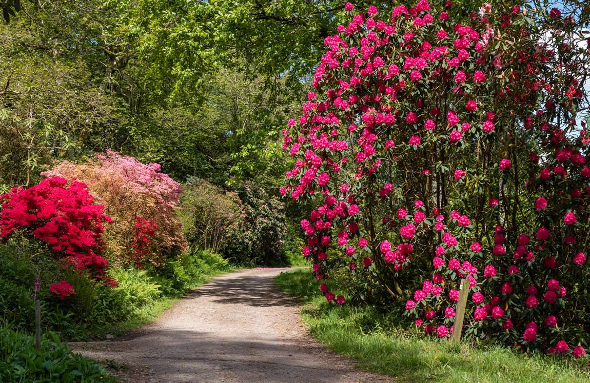 Tuin in Muncaster Castle Lake District online puzzel