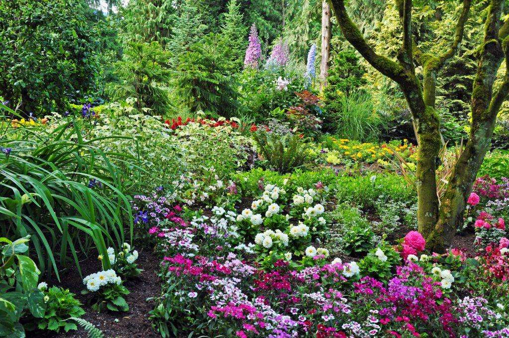 Bos tuin online puzzel