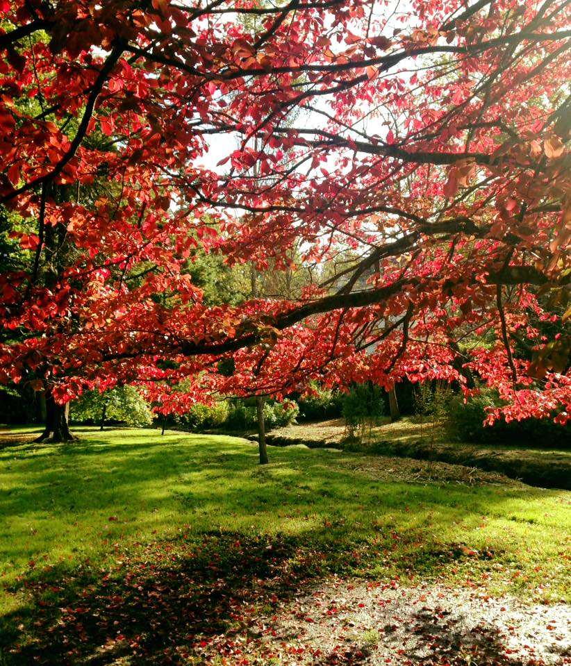 ボーンマスアッパーガーデン オンラインパズル