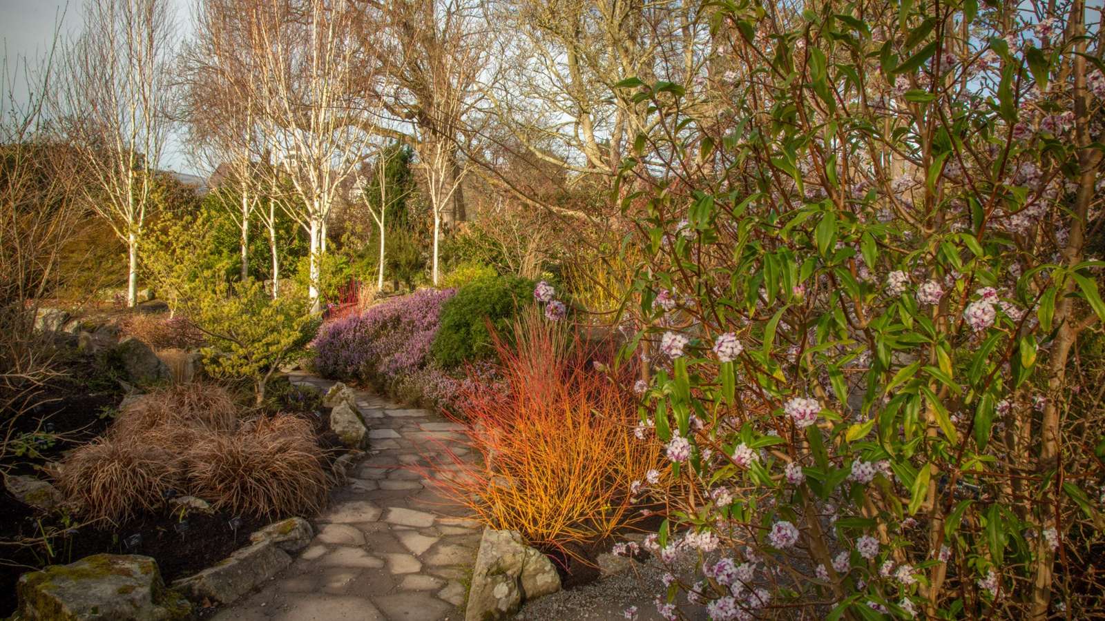Jardin d'hiver Bodnant Conwy puzzle en ligne