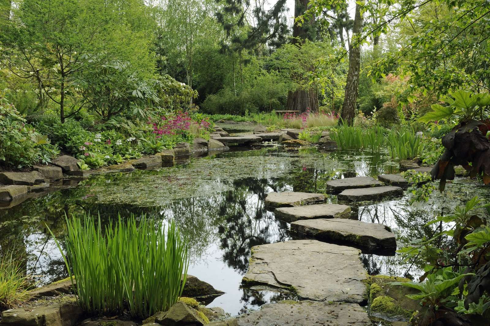 Watertuin legpuzzel online