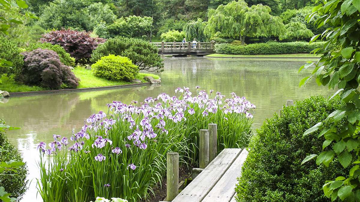 Missouri botanische tuin legpuzzel online