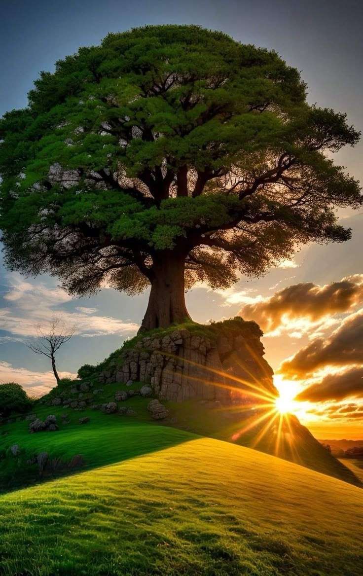 Peisaj puzzle online