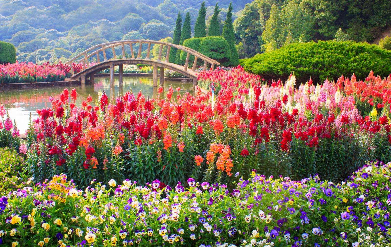 Jardim de flores coloridas quebra-cabeças online
