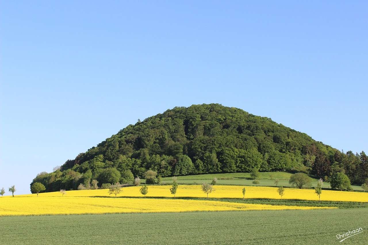 Frühling, Felder, Natur. Online-Puzzle