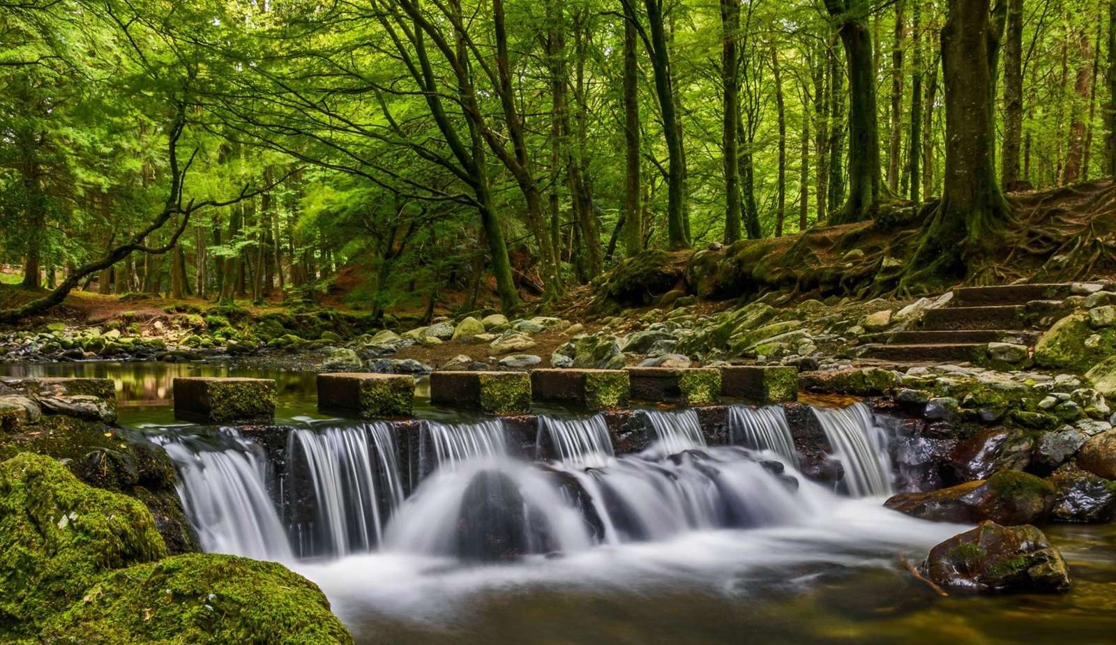 Tollymore Forest Country im Norden von Nordirland Puzzlespiel online