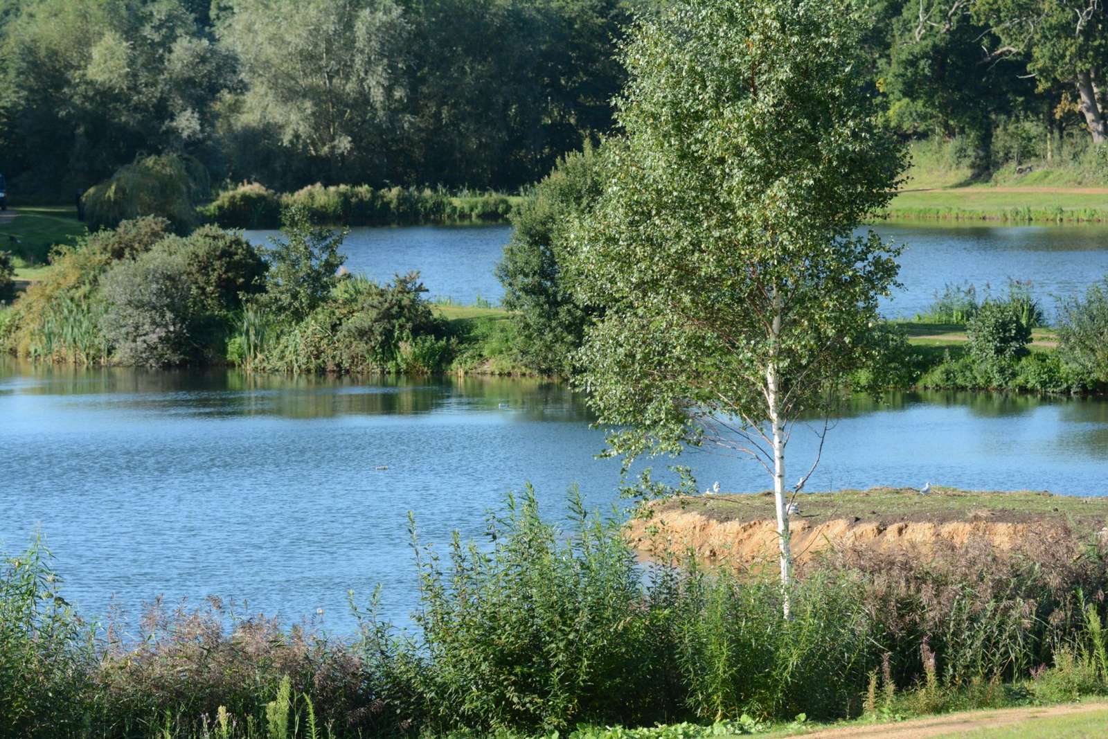 Billingford Lakes Norfolk jigsaw puzzle online