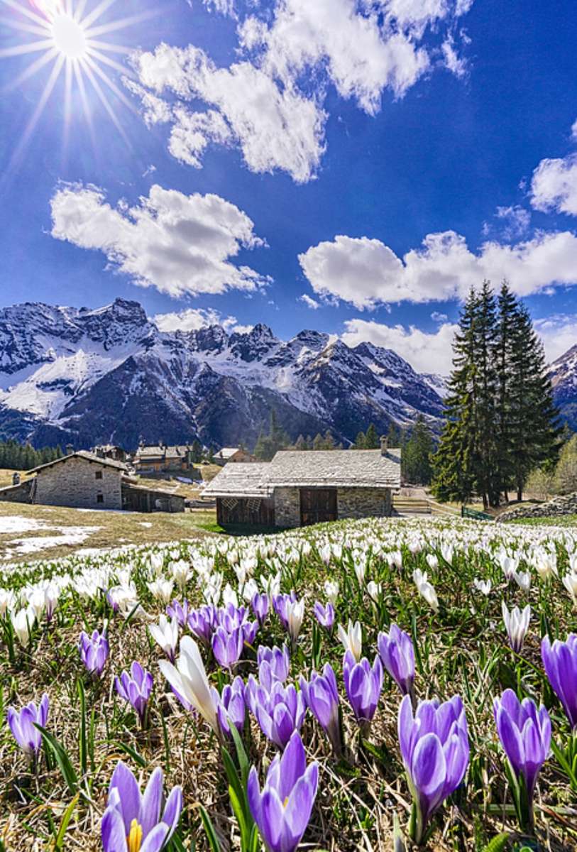 Wiosna nad Alpami puzzle online