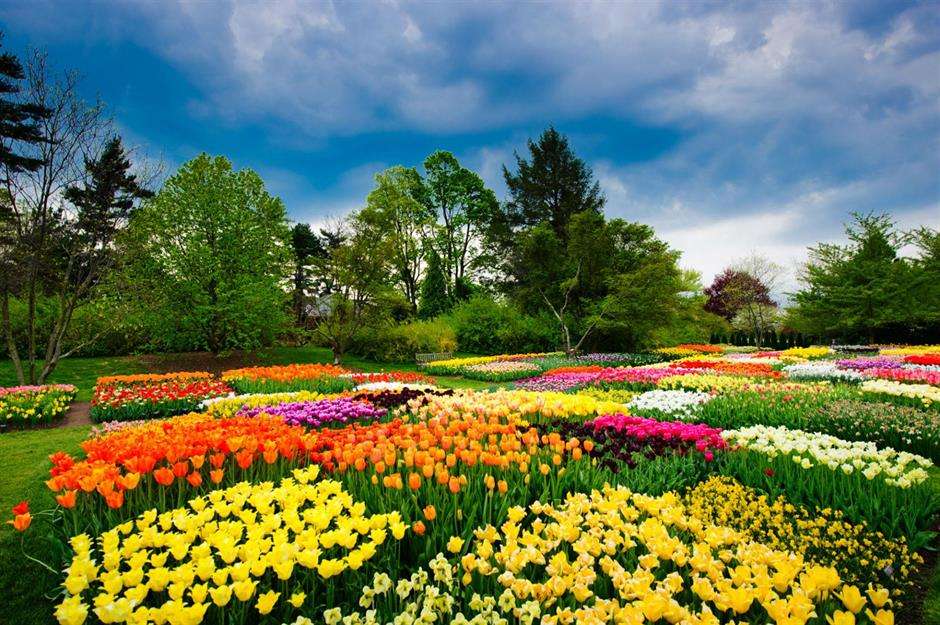 Longwood Garden puzzle online