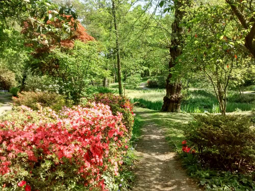 Jardin d'eau de Trent Park puzzle en ligne