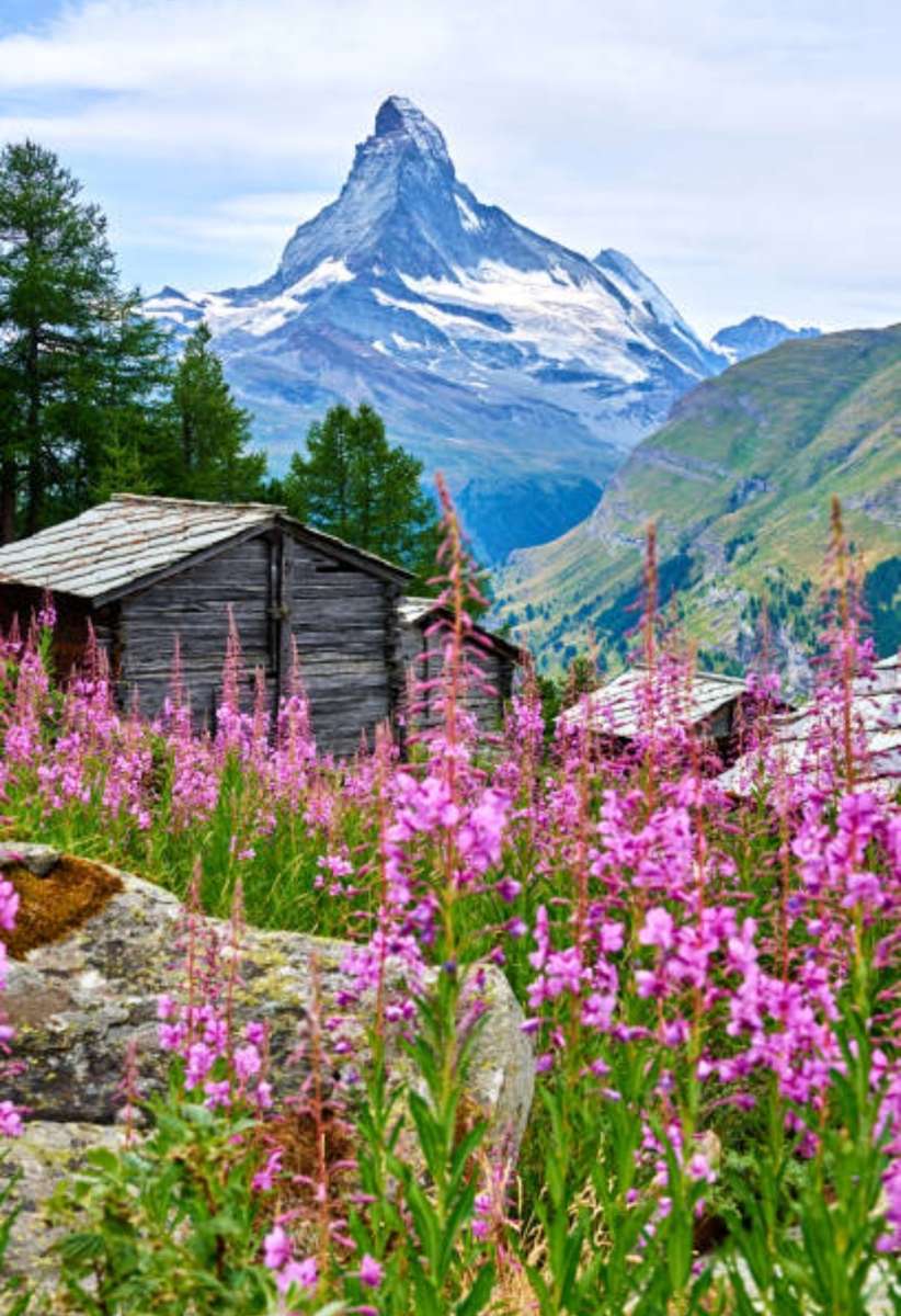 Primavera sulle Alpi Svizzera puzzle online