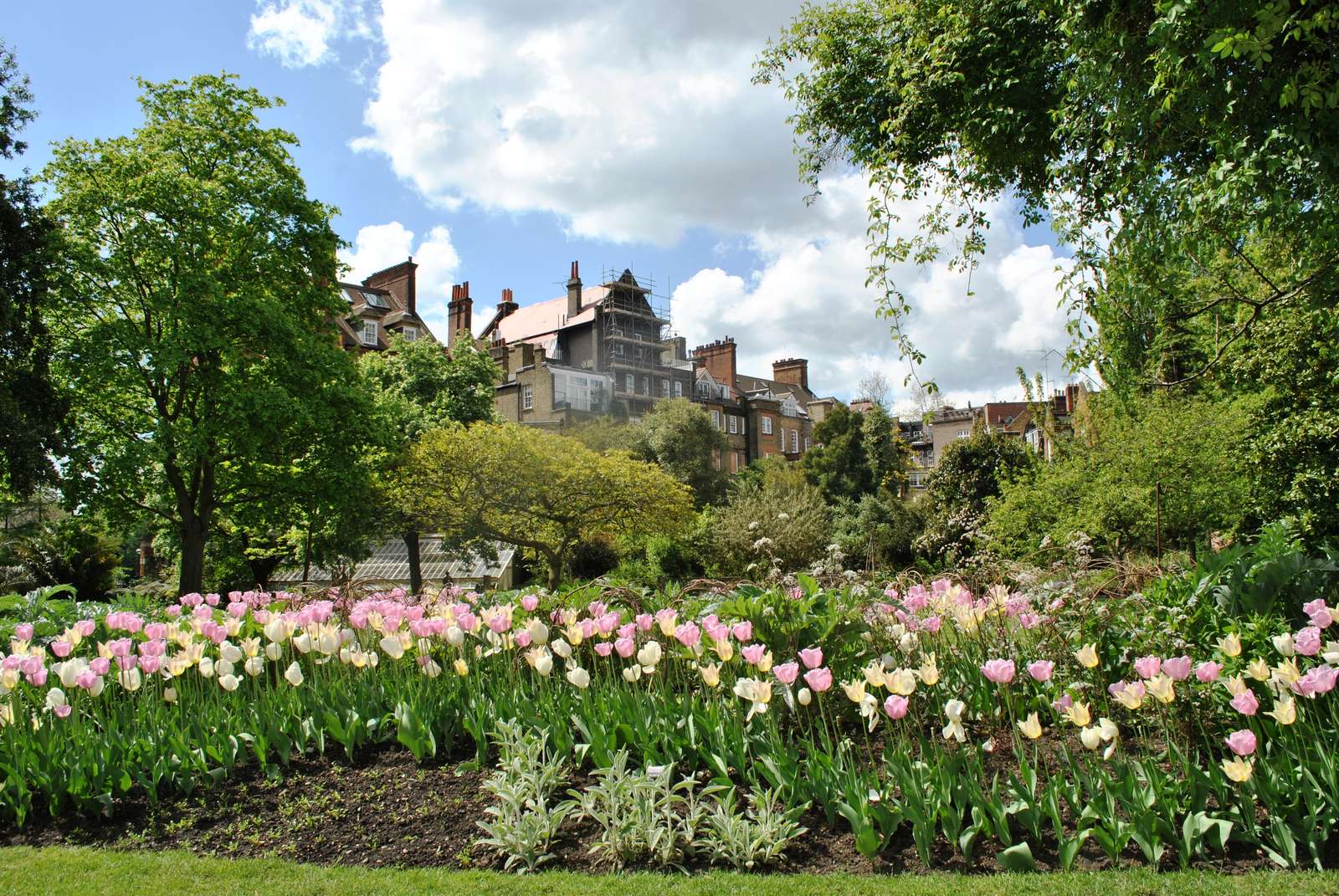 Chelsea Physic Garden puzzle online