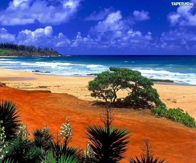 Kealia Beach na Hawajach puzzle online