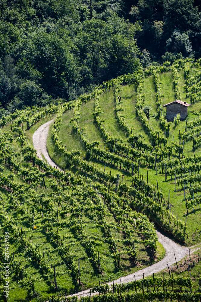 Valdobbiadene, Italia puzzle online