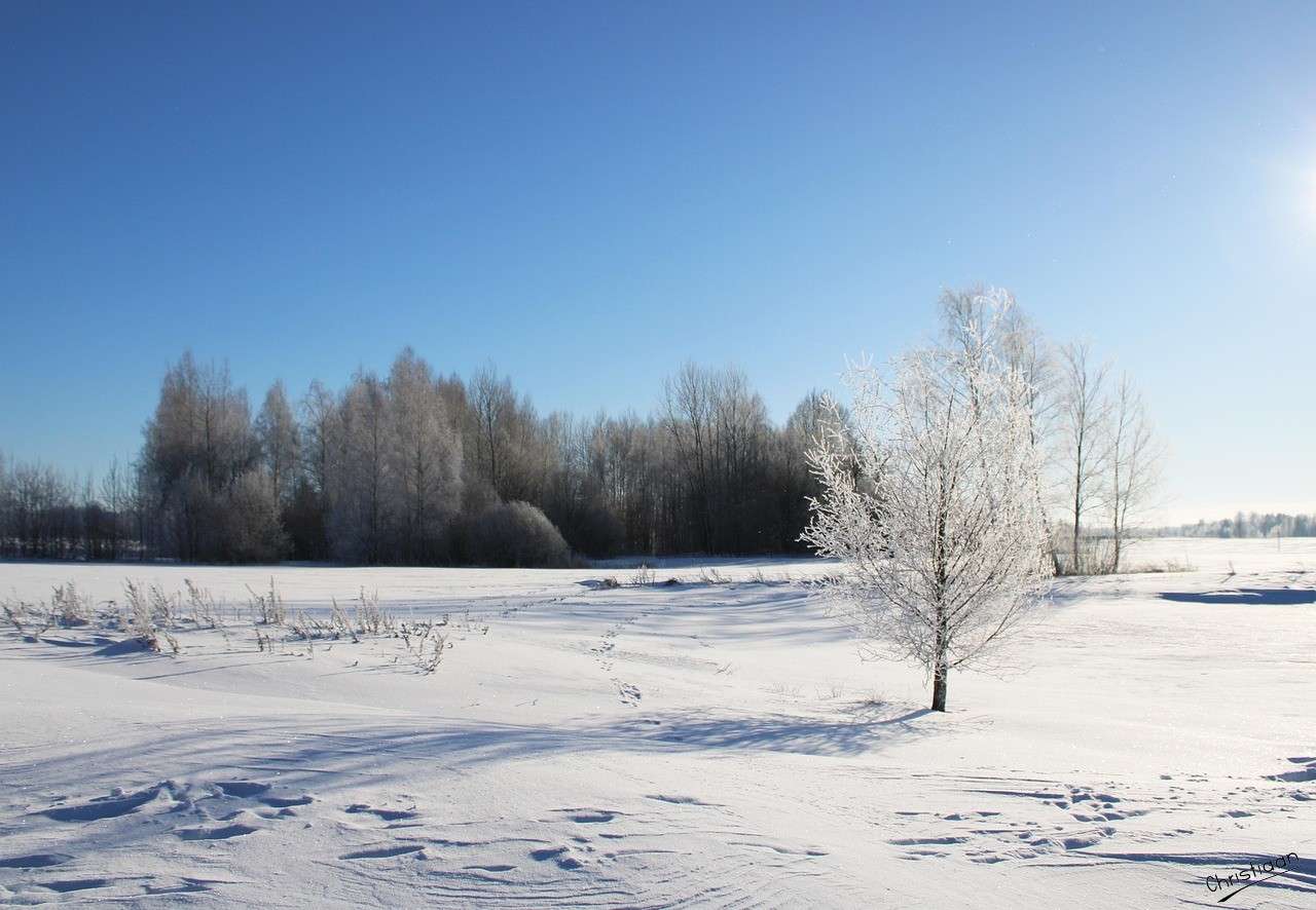 Neve, inverno, freddo. puzzle online