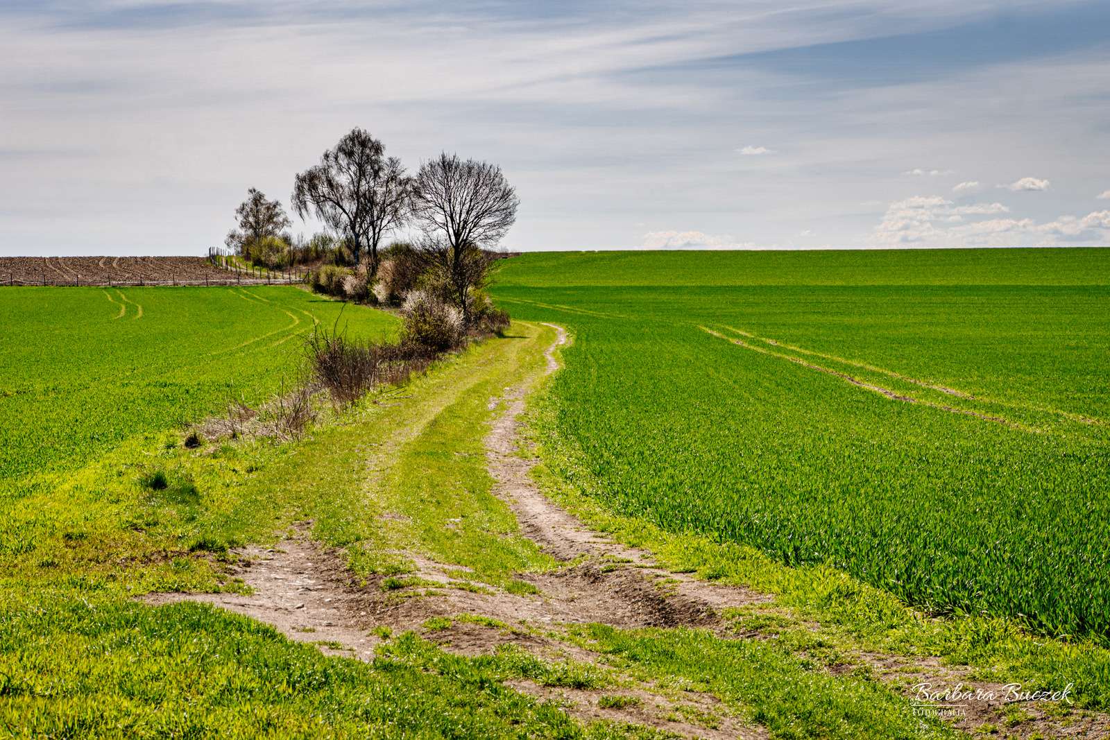 フィールドロード オンラインパズル