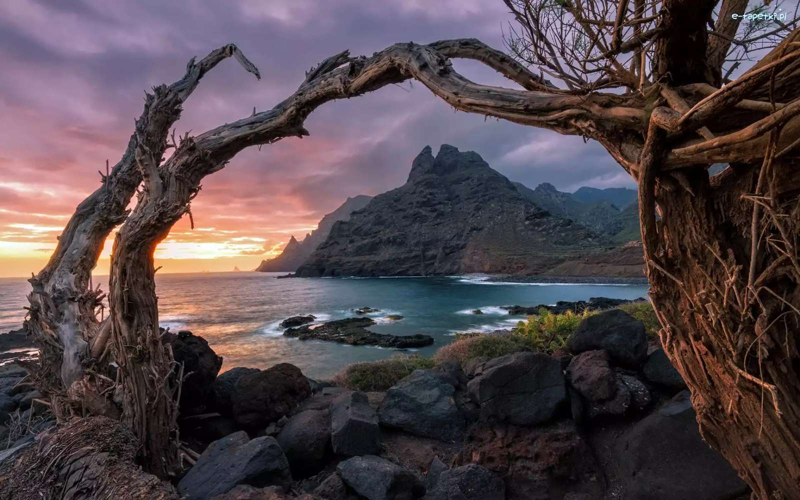 Natura Teneryfy Wyspy Kanaryjskie puzzle online