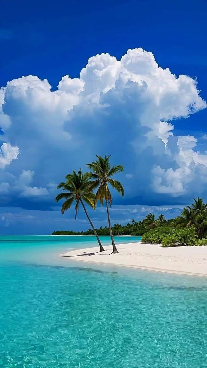 Estetyczna Tropikalna Plaża puzzle online