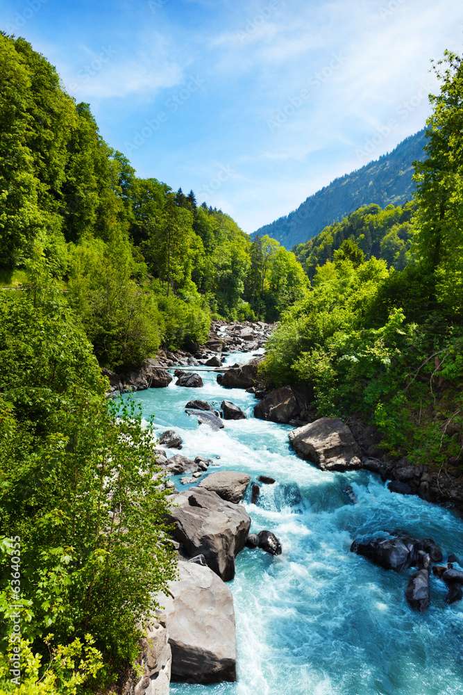 Een haastige rivier in de Zwitserse Alpen online puzzel