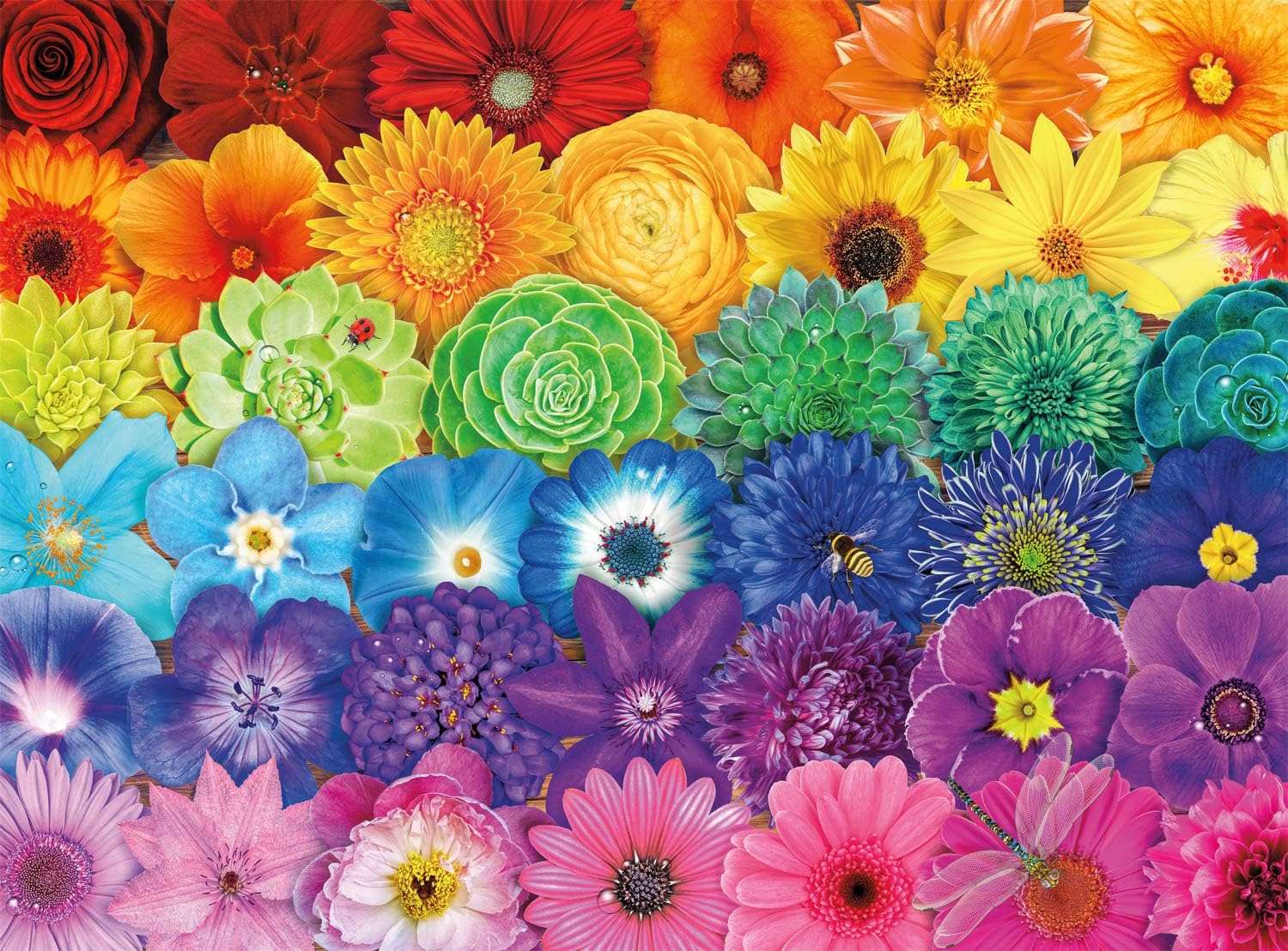 Rainbow flowers online puzzle