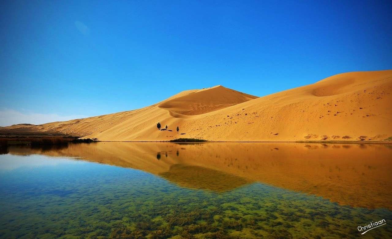砂漠、風景、自然。 オンラインパズル