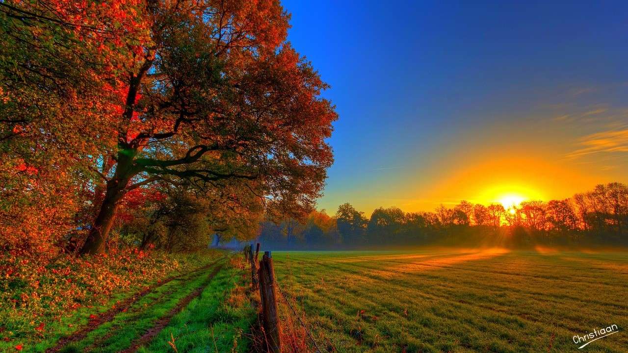 Campo, puesta de sol. rompecabezas en línea
