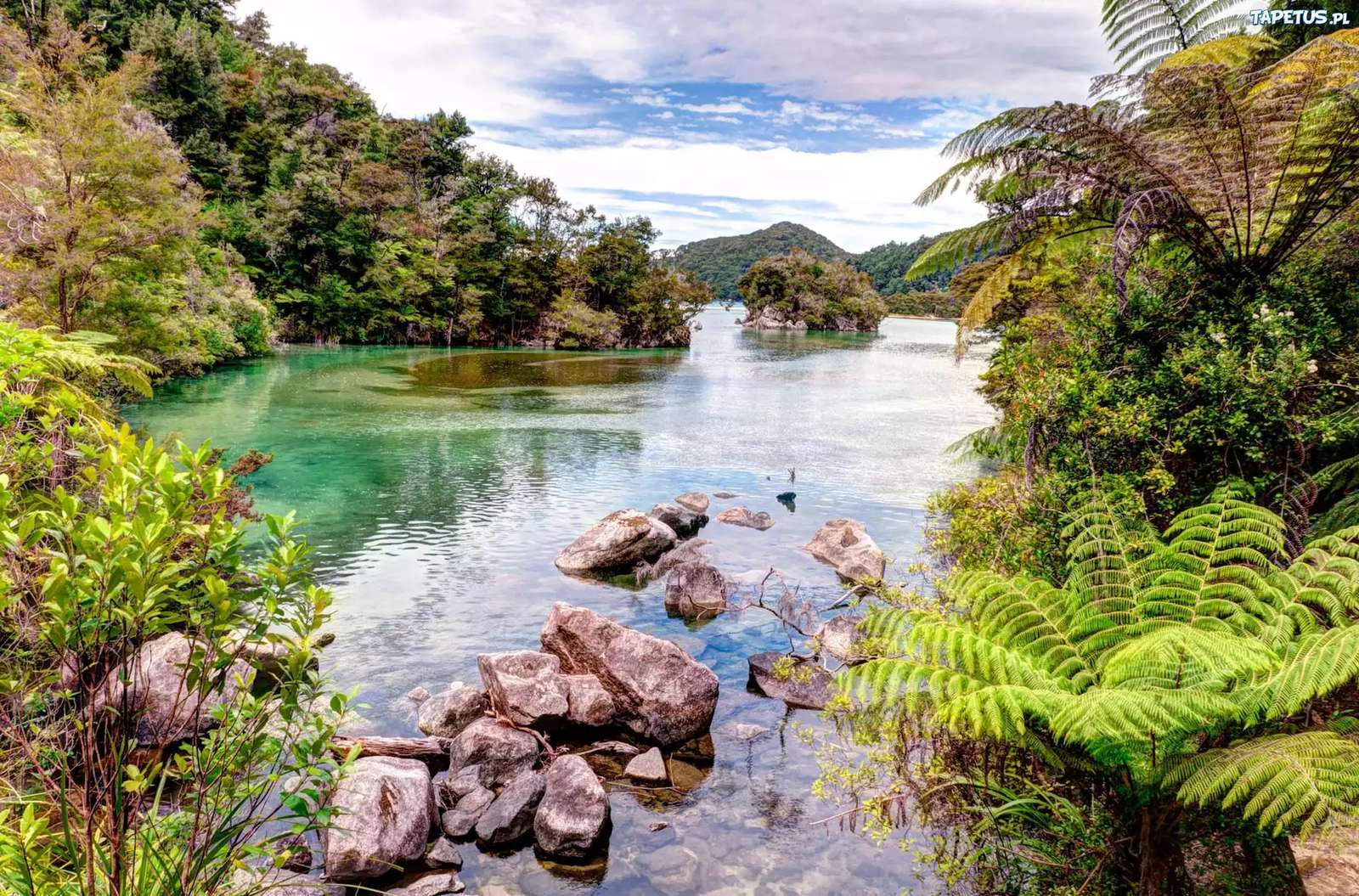 Abel Tasman, Parque Nacional da Nova Zelândia quebra-cabeças online