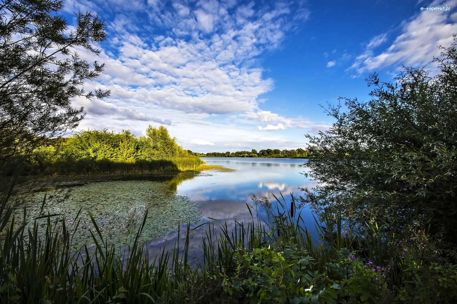 The Great Ouse River, Great Britain online puzzle