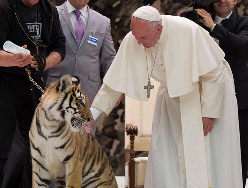 Papież Franciszek i Tygrys puzzle online