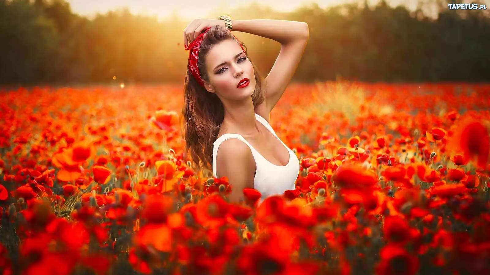 Chica en el campo de la amapola rompecabezas en línea