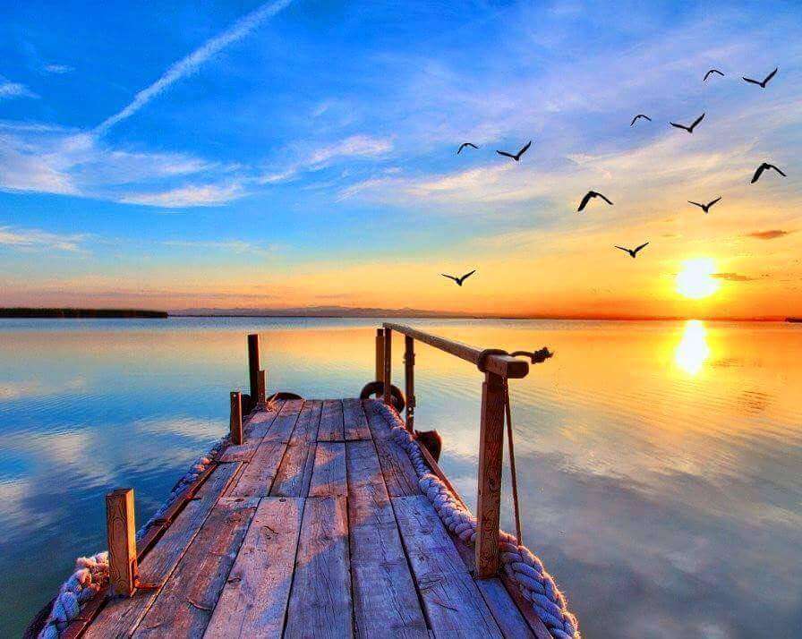 A beautiful view at the lake online puzzle