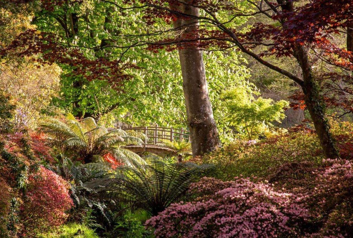 Exbury Garden online puzzle