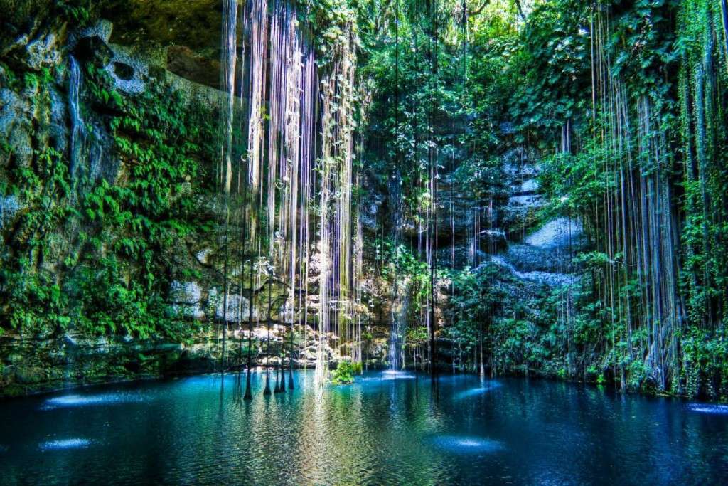 Um milagre da natureza puzzle online
