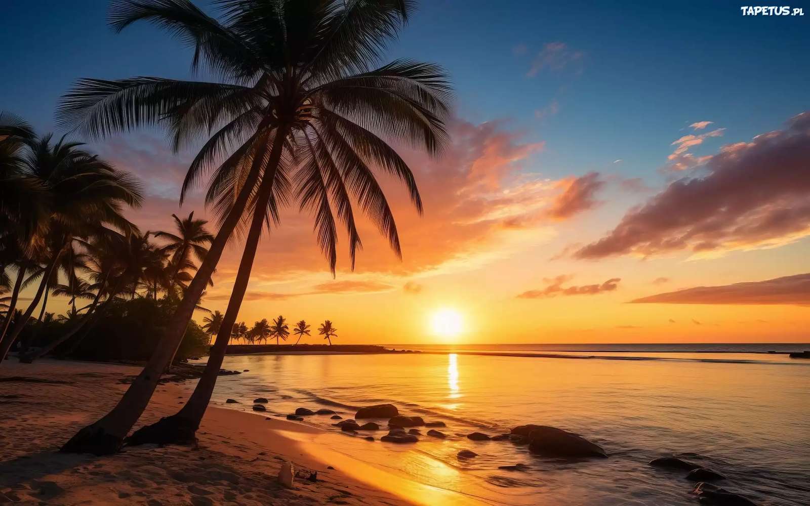 Morze, Plaża, Zachód słońca, Palmy puzzle online