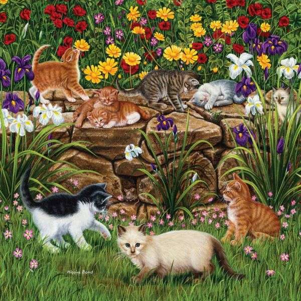 Kotki bawiące się na trawie puzzle online