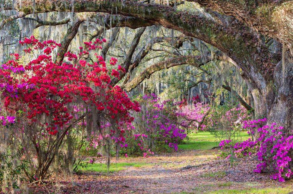 Bel giardino puzzle online
