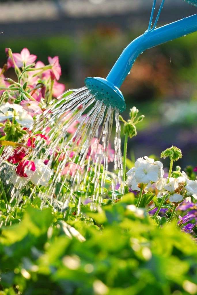 Acqua di vita puzzle online