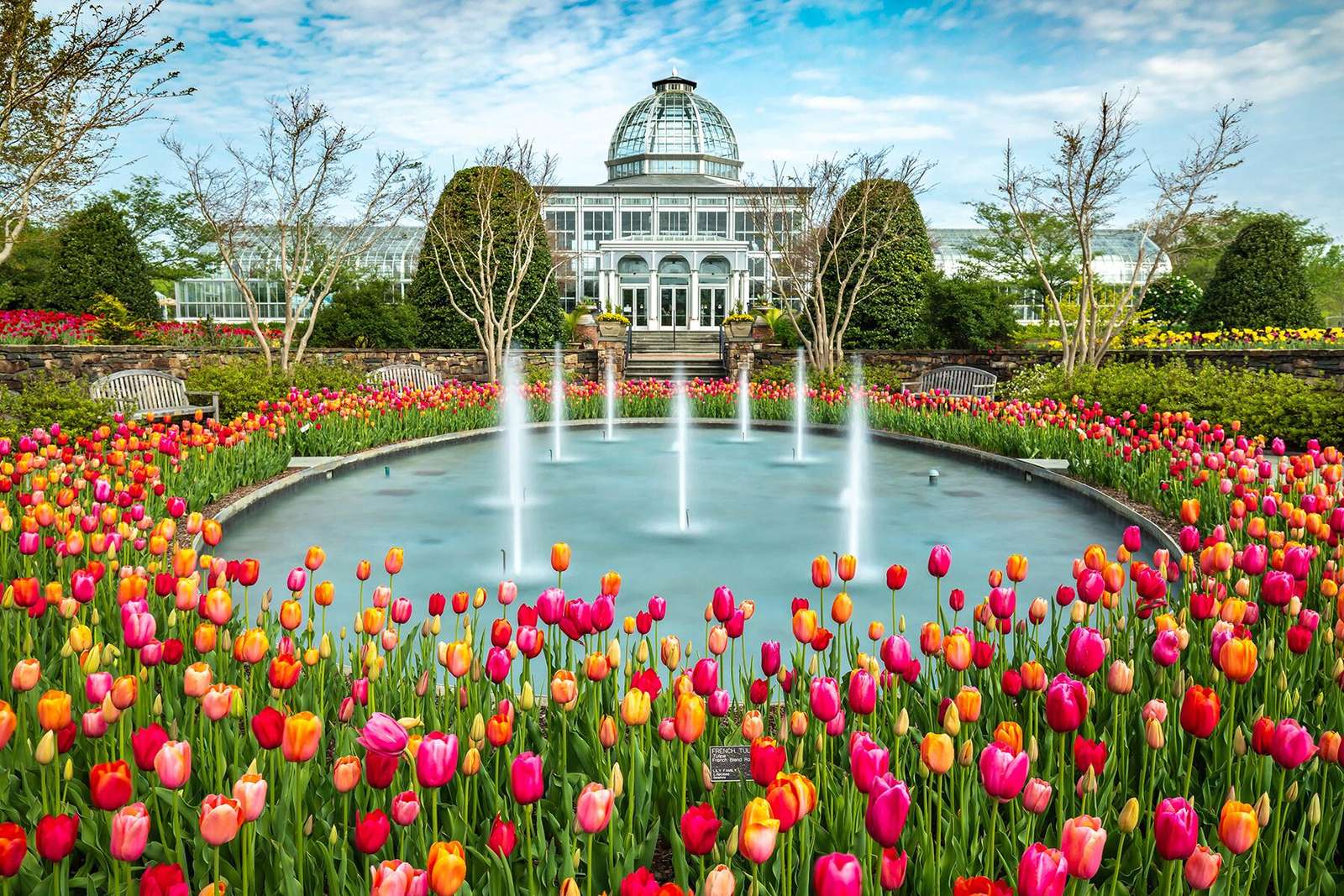 Mooie tuin in het Amerikaanse zuiden legpuzzel online