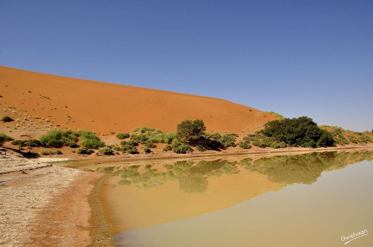 Desert, dune, apă. puzzle online