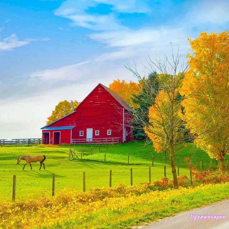 Czerwona Farma puzzle online