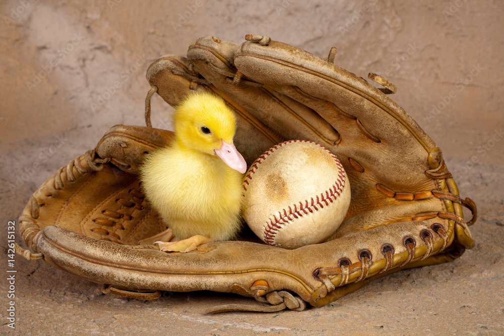 Pequeno pato com luva de beisebol quebra-cabeças online