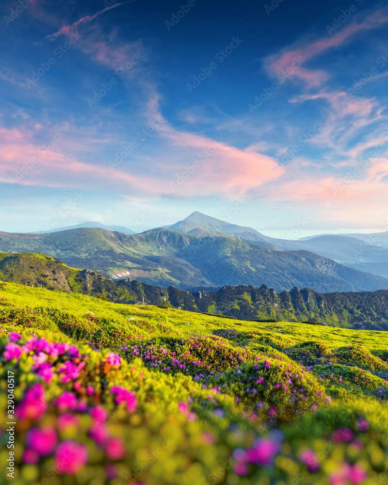 Rododendrony w Krajobrazie Górskim Latem puzzle online