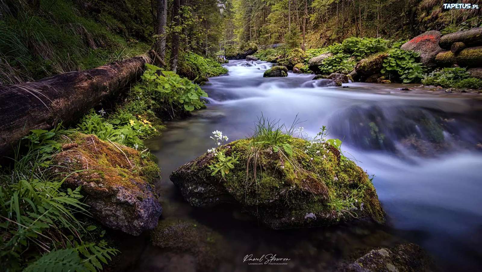 Řeka spěchá v pohoří Tatra online puzzle