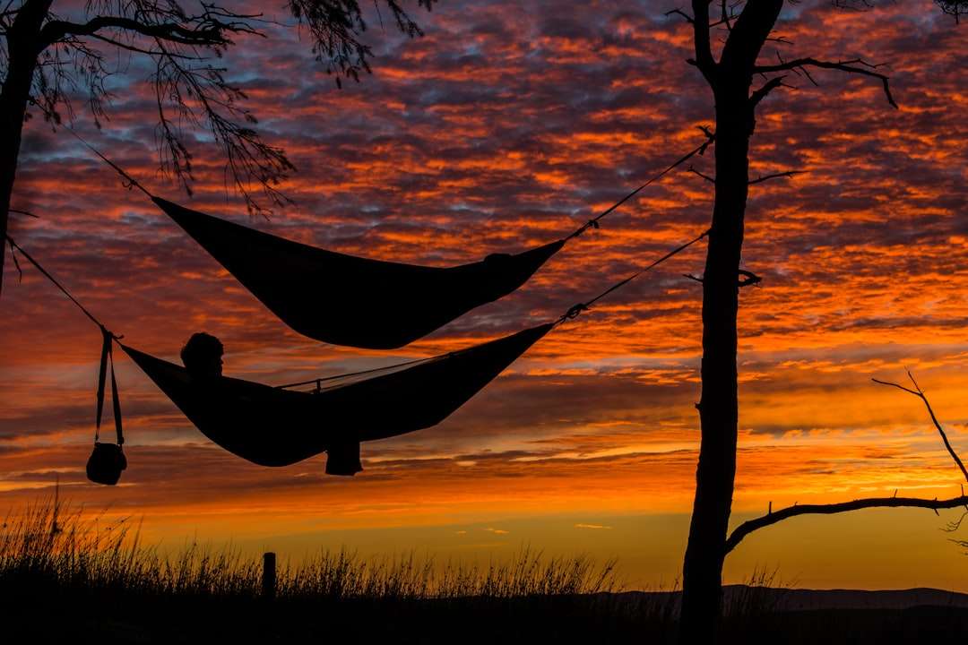 Hamacs au coucher du soleil puzzle en ligne