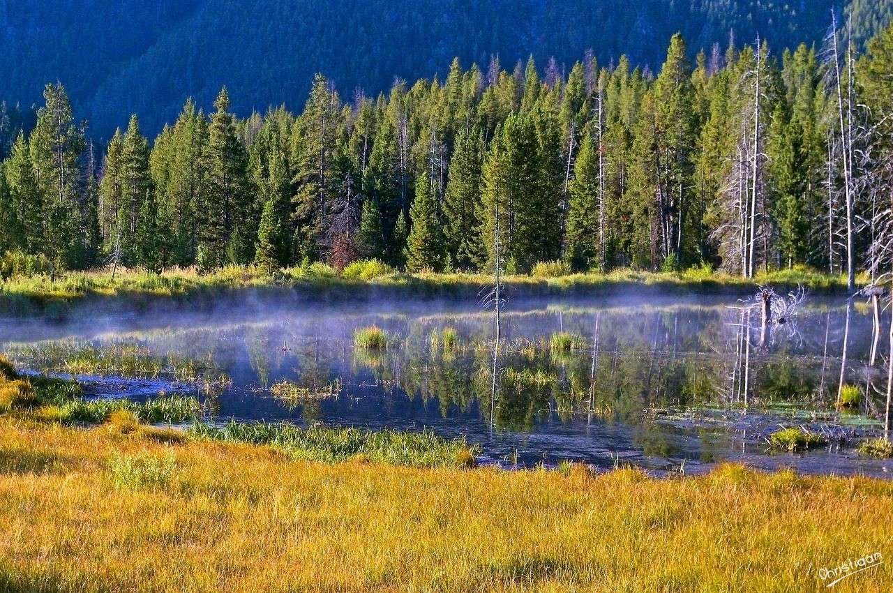 Madison River, Montana, rzeka. puzzle online