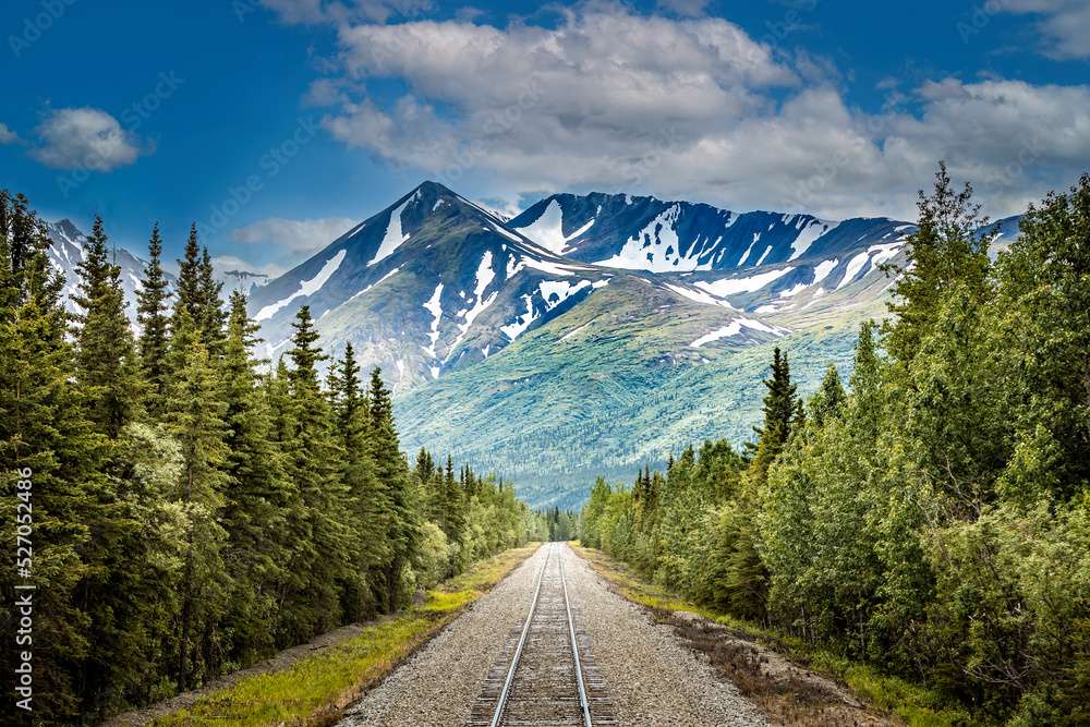 Tracce ferroviarie sul parco nazionale di Denali Alaska puzzle online