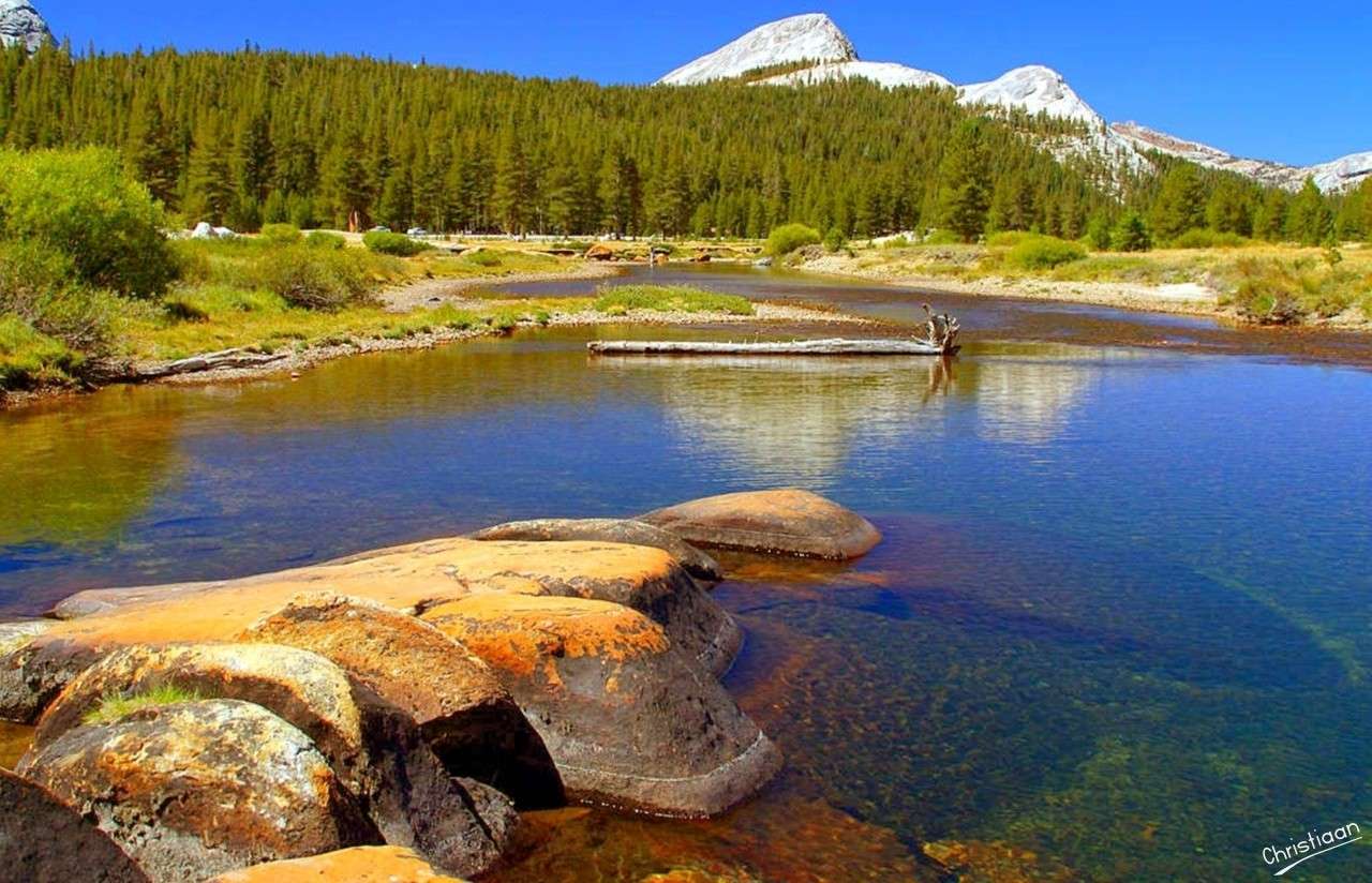Yosemite National Park. online puzzle