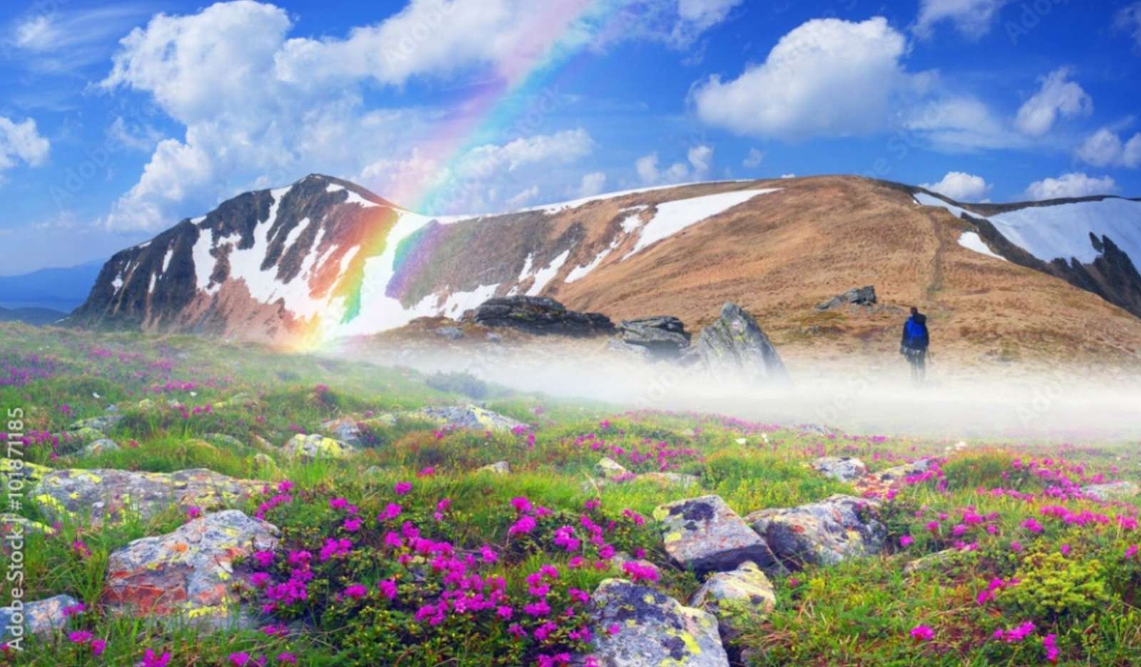 Tęcza i Rododendrony w Górach puzzle online